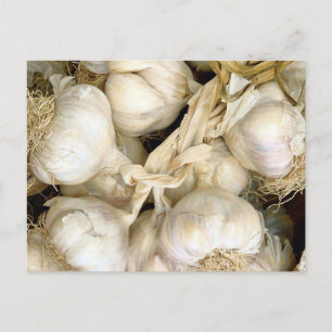 Postal Garlic