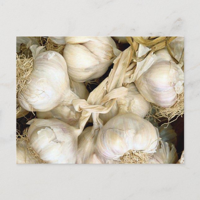 Postal Garlic (Anverso)
