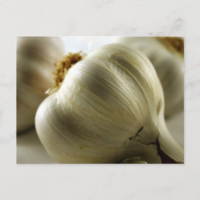 Postal Garlic (Anverso)