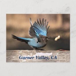 Postal Garner Valley, CA Postcard