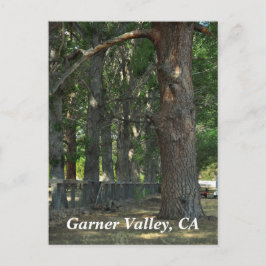 Postal Garner Valley, CA Postcard