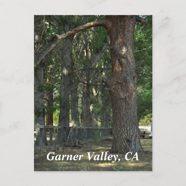 Postal Garner Valley, CA Postcard (Anverso)