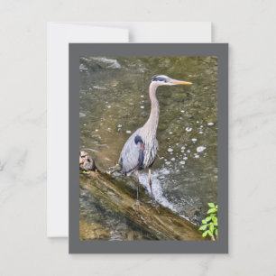 Postal Garza azul