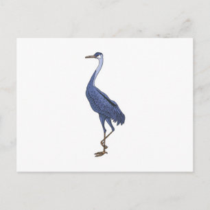 Postal garza azul