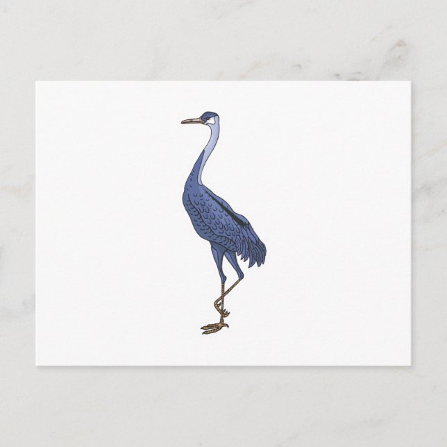 Postal garza azul (Anverso)