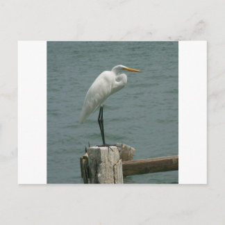 Postal Garza de la Florida