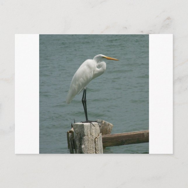 Postal Garza de la Florida (Anverso)