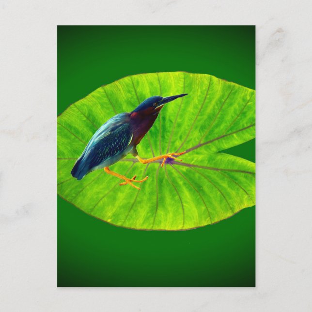 Postal Garza verde (Anverso)