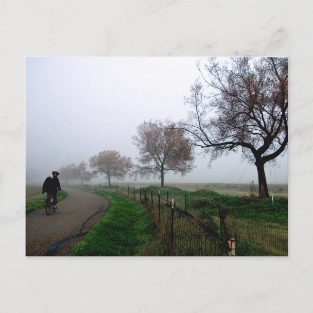 Postal Gasas de niebla (Anverso)