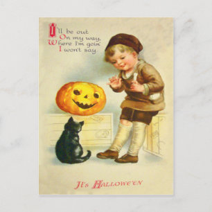 Postal Gata Negra Jack O Lanter Calabaza Niña