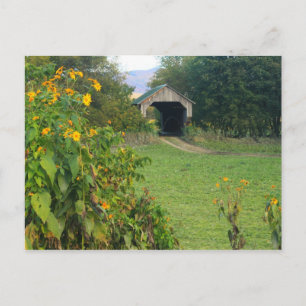 Postal Gates Farm Covered Bridge Sunflowers Cambridge VT