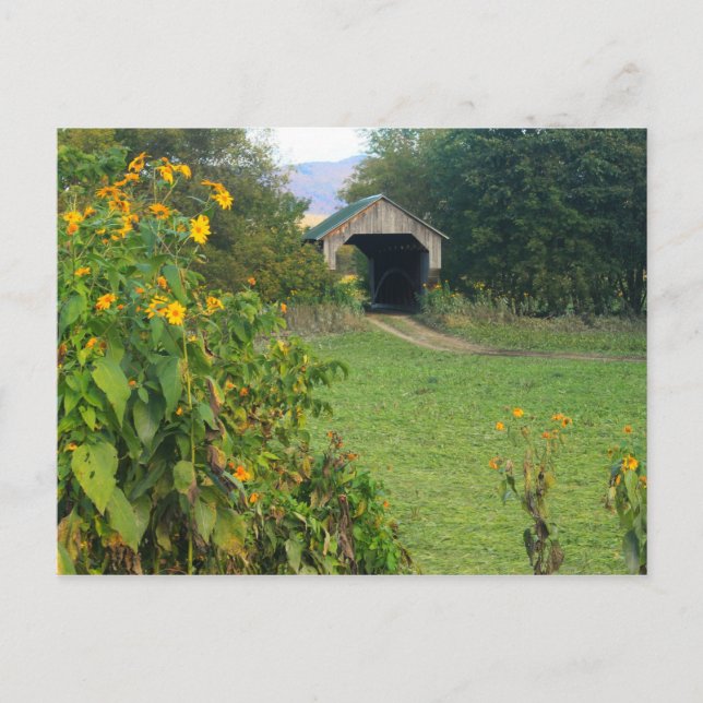 Postal Gates Farm Covered Bridge Sunflowers Cambridge VT (Anverso)