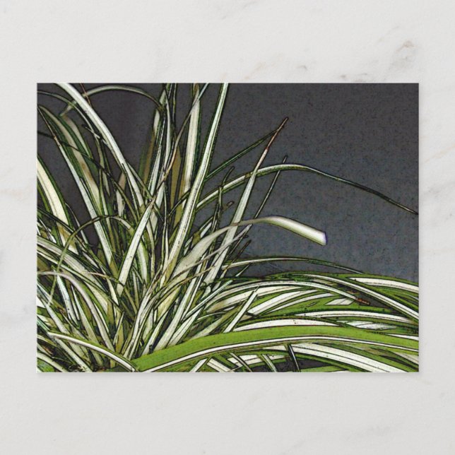 Postal Gatha (Anverso)