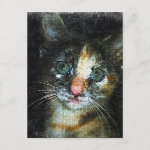 Postal Gatito