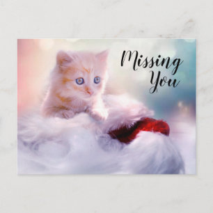 Postal Gatito
