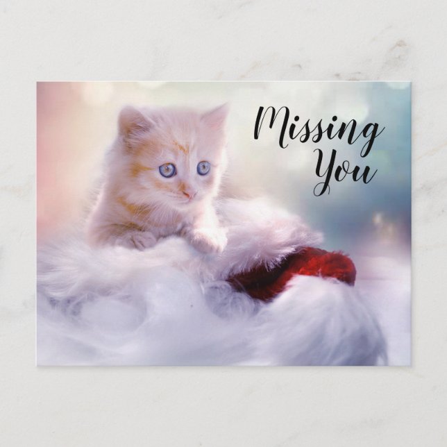 Postal Gatito (Anverso)