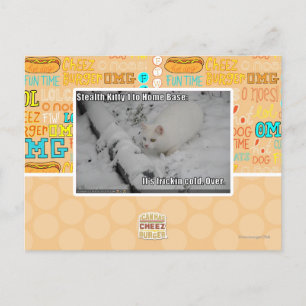 Postal Gatito 1 de la cautela