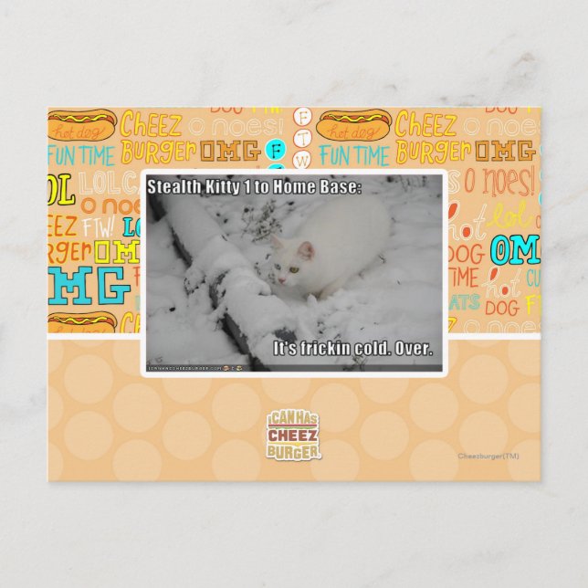 Postal Gatito 1 de la cautela (Anverso)