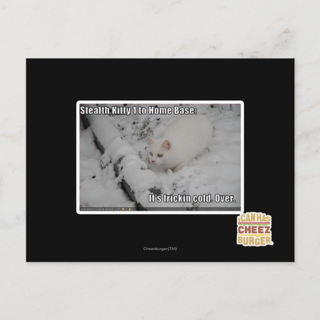 Postal Gatito 1 de la cautela (Anverso)