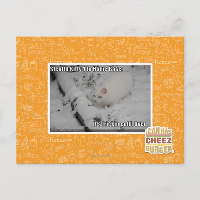 Postal Gatito 1 de la cautela (Anverso)