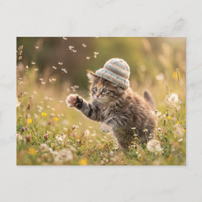 Postal Gatito Adorable con un Sombrero Jugando con Diente (Anverso)