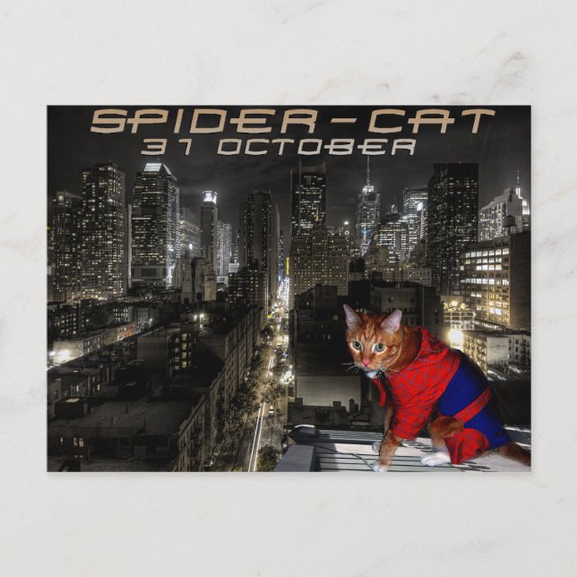 Postal gatito araña (Anverso)