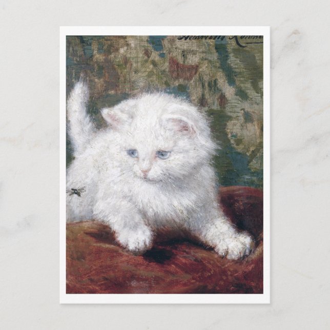 Postal Gatito blanco, Henriette Ronner-Knip (Anverso)