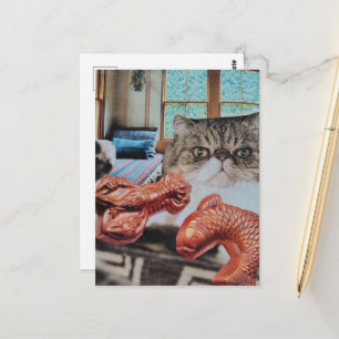 Postal Gatito con Collage de Langosta y Pescado