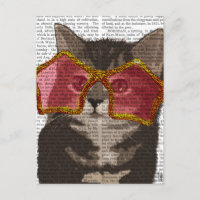 Gatito con gafas de sol de estrella