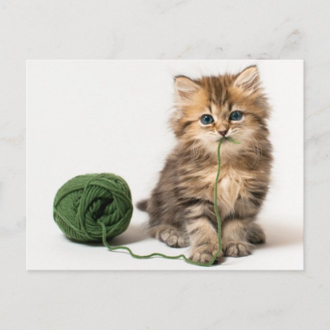 Postal Gatito con yarn verde (Anverso)