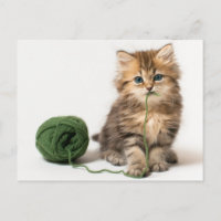 Gatito con yarn verde