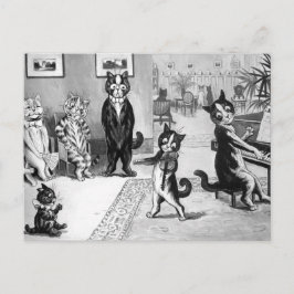 Postal Gatito dando un considerando