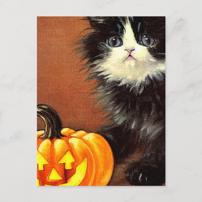 Postal Gatito de Halloween blanco y negro vintage (Anverso)