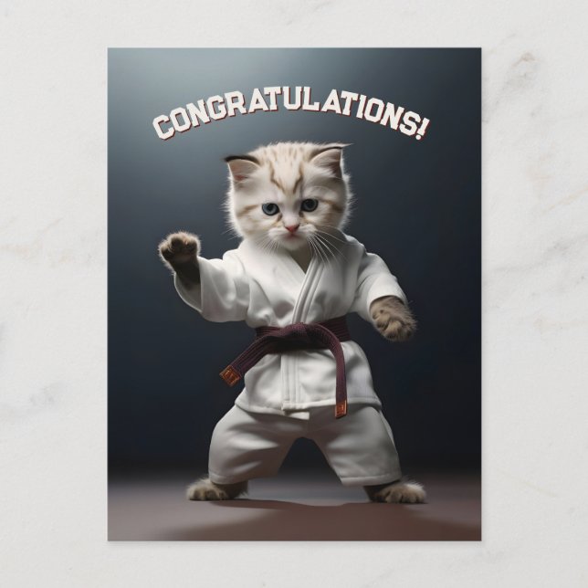 Postal Gatito de Karate (Anverso)
