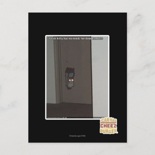 Postal Gatito del laser (Anverso)