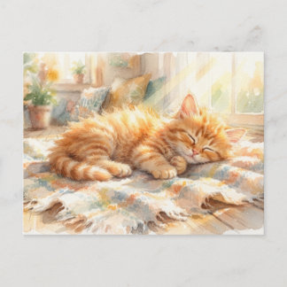 Postal Gatito dulce tomando el sol 