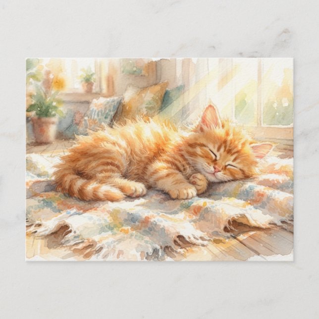 Postal Gatito dulce tomando el sol  (Anverso)