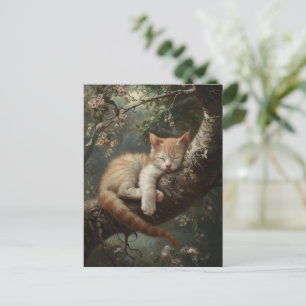 Postal Gatito durmiendo en una cosecha de árbol