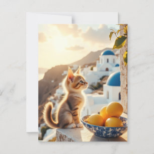 Postal gatito en Italia