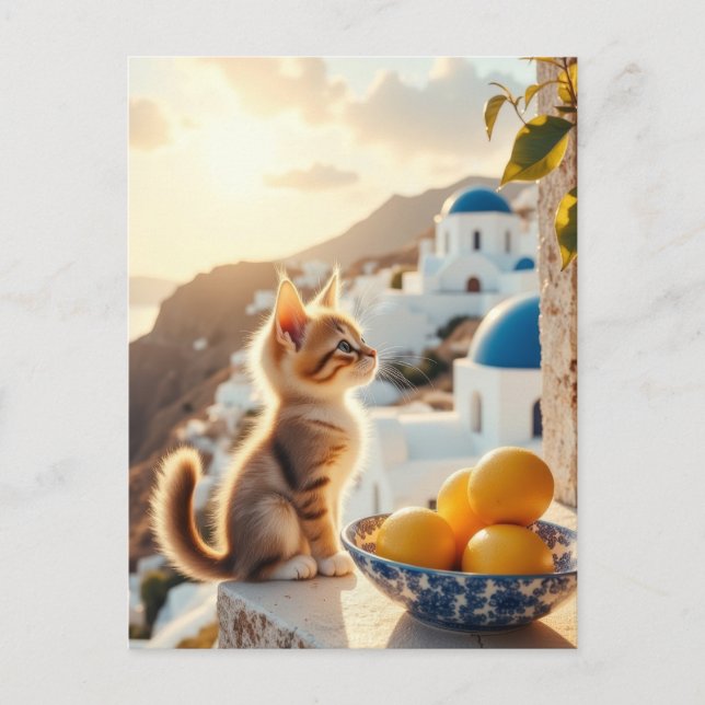 Postal gatito en Italia (Anverso)