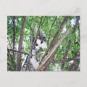 Postal Gatito En Un Lápiz De Árbol,