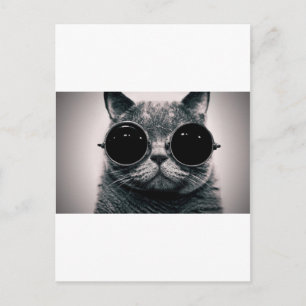 Postal gatito fresco kool kat con matices