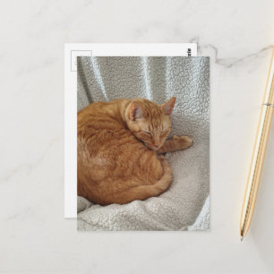 Postal Gatito Jengibre Soñoliento