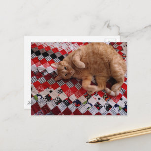 Postal Gatito jengibre soñoliento en una colcha roja