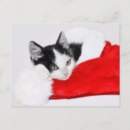 Postal Gatito lindo en Santa Hat