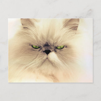 Postal Gatito mullido de Gruffy