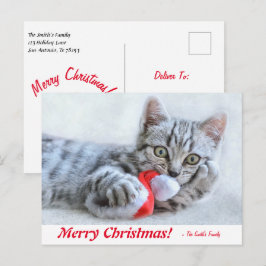 Postal Gatito navideño personalizado de Feliz Navidad con