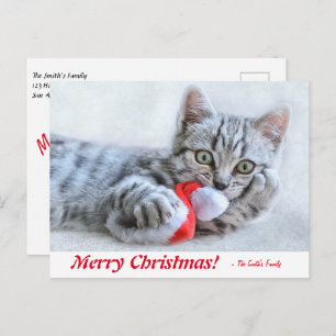 Postal Gatito navideño personalizado de Feliz Navidad con