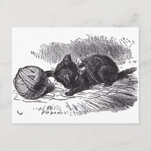 Postal Gatito negro
