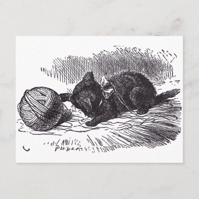 Postal Gatito negro (Anverso)
